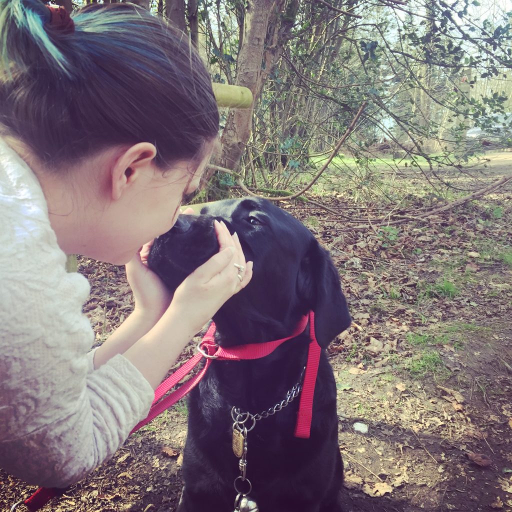 Ida and Sassy touching noses