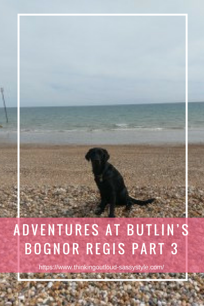 Dog on the beach near the sea. Text overlay 'ADVENTURES AT BUTLIN’S BOGNOR REGIS PART 3'