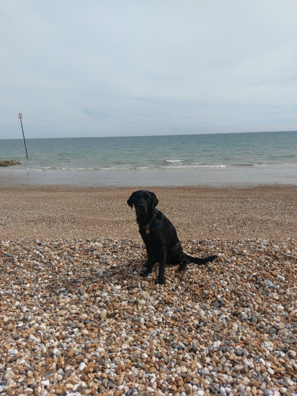 Ida sitting on a pebble beach with the sea behind her