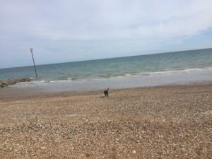 Ida running towards the sea on a stony beach