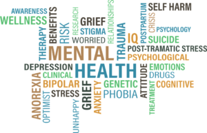 Mental Health in the center of a web of diffrent mental health issue.