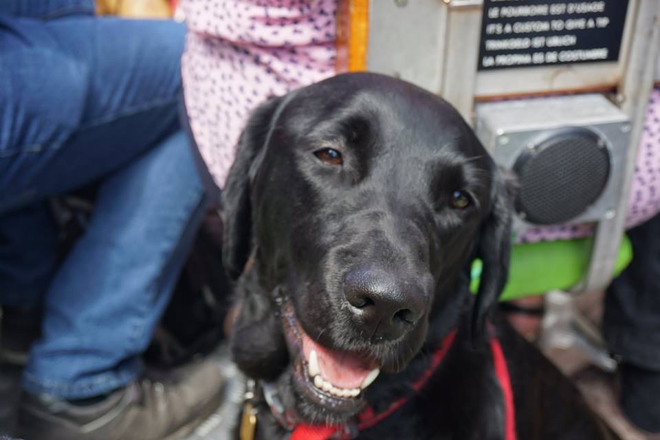 Ida Looking towards the camera with a doggy smile on her face, sitting on a tour boat.