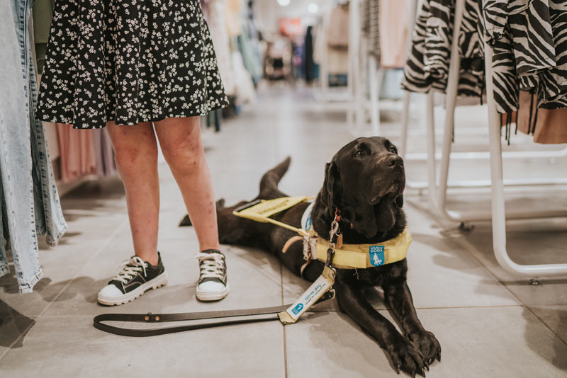A photo focusing on Ida the black guide dog lying on the floor, whilst Sassy is browsing though the clothes of a store. You can only see half of Sassy, wearing a black dress with small white flowers, knee long, and black trainers with a white sole.