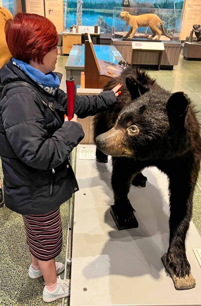 Sassy wearing a black jacket and a black, white and red stripy long dress, touching the fur of a black bear, in the museum.