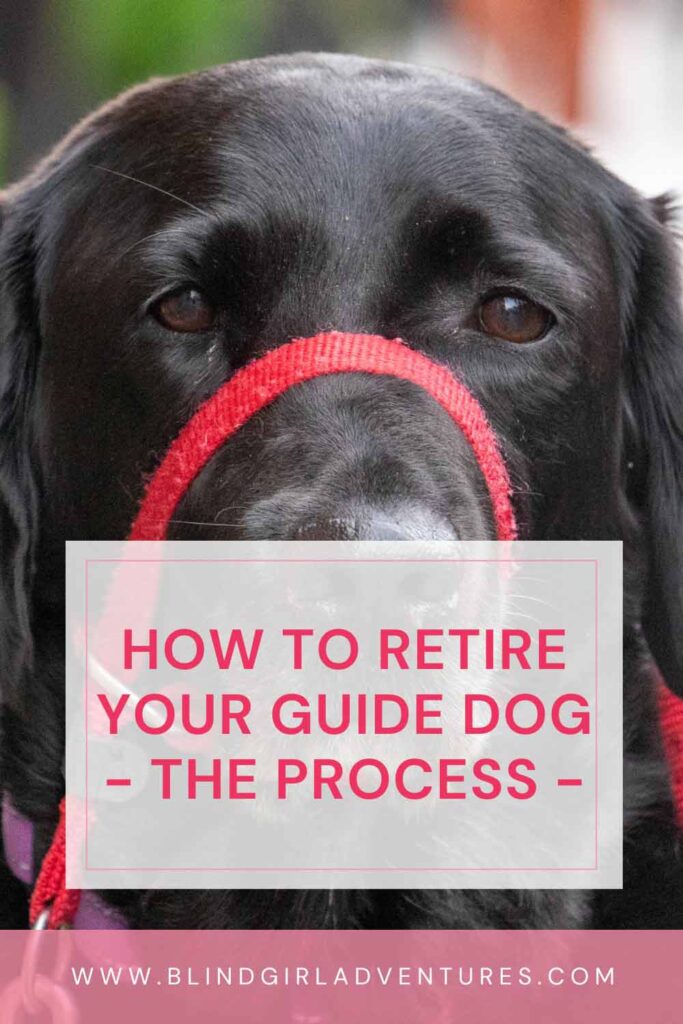 The pin for this post: it is a close-up photo of Ida the black labrador, looking straight at the camera. Underneath there is a grey rectangular with the title of this post written in pink letter. There is a band at the bottom of the photo with the URL of the website written with white letters on a pink background.